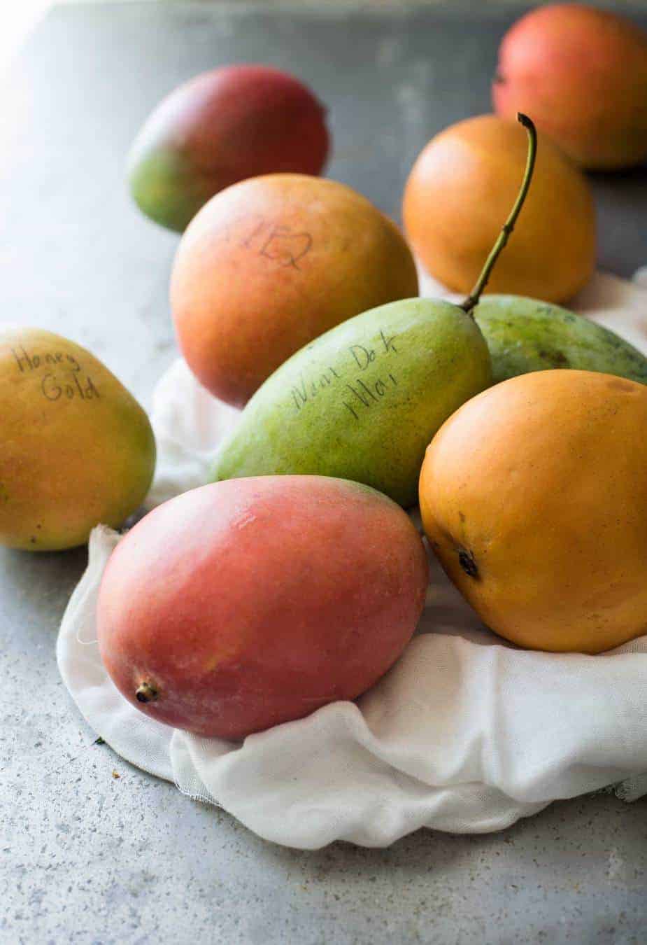 种植在树林的不同的芒果品种种植热带水果农场
