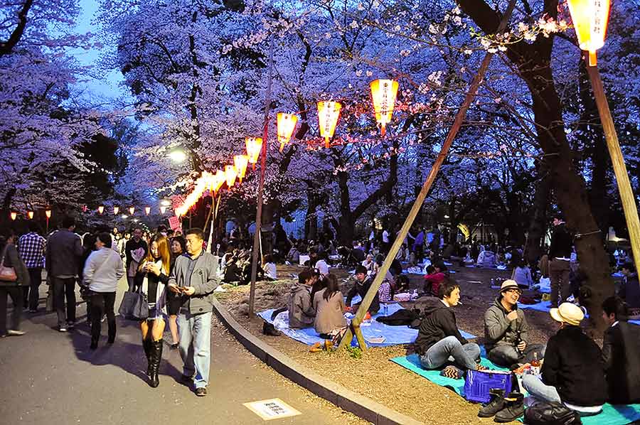Ueno Park（Ueno Koen）在樱花季节在晚上